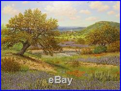 16x20 original oil painting on canvas by Manuel Garza of Texas Hill Country 2