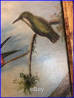 19thC Antique Original Oil Painting On Canvas Hum Birds, Signed VARGAS ALBERTO