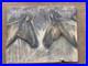 20x16-One-Of-A-Kind-Impressionist-Acrylic-On-Canvas-Two-Souls-Equine-Painting-01-yucs
