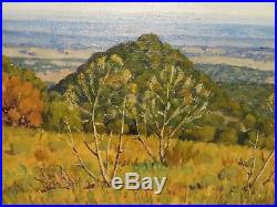 9x12 original 1940s oil on board painting by FRED DARGE Texas Hill Country