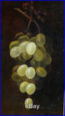 Ac De Luce, 1887 Original Oil On Canvas Painting Of Green Grapes In Ornate Frame
