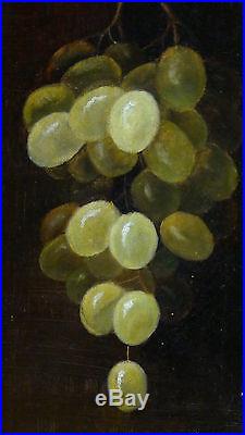 Ac De Luce, 1887 Original Oil On Canvas Painting Of Green Grapes In Ornate Frame