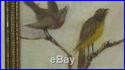 Antique Original Oil Painting of Song Birds on Branch, Nailed, Canvas