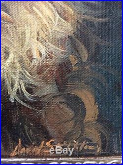 DAVID STRIBBLING, Original Oil on Canvas, LION, Signed, Nice composition