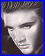 Elvis-Presley-Acrylic-On-Canvas-8x10-Original-Art-Blue-Eyes-Artist-David-Greene-01-dhtq