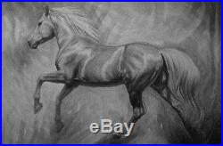 Horse original painting grey horse acrylic on canvas equestrian gallop signed