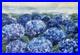 Hydrangea-Painting-Original-Art-Oil-Canvas-Impressionism-Floral-Wall-Art-14x20-01-dv