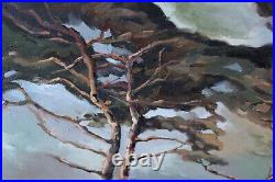 Impressionist California Coast Landscape Oil Painting Art Cypress Trees Al Romeo