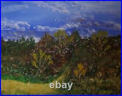 Joshua Tree Landscape, Original Art, Acrylic Painting on canvas Artist signed