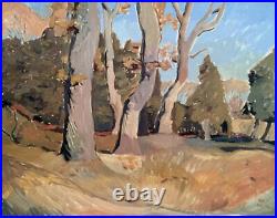 Landscape Plein Air Impressionism Painting 16x20 Original