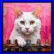 ORIGINAL-Oil-PAINTING-on-Canvas-Cat-Textured-Artwork-10x10-in-Custom-Order-01-bwvz