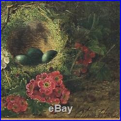 Oliver Clare c. 1876 London Oil On Canvas Original Frame Robins Egg Bird Nest