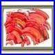 Orange-Curves-Contemporary-Abstract-Original-Paper-Wall-Art-Acrylic-11x14-BACH-01-oa