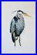 Original-Acrylic-Painting-On-Canvas-Great-Blue-Heron-18-x-24-01-vj