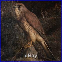 Original Antique Oil on Canvas Painting of a Falcon by Niels Rasmussen