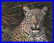 Original-Artwork-oil-painting-leopard-on-canvas-panel-wildlife-8x10-01-mw