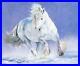 Original-Horse-Oil-Painting-On-Canvas-Winter-Snow-Gray-Gypsy-Vanner-Mare-20x24-01-xjfa