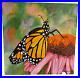 Original-Oil-Painting-Monarch-By-Karen-Zumbrun-Oil-on-Canvas-20-x-20-Unframed-01-pz