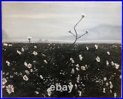 Original Oil Painting Of Wildflowers And Landscape By C. Ricketts