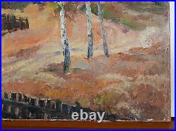Original Oil Painting on canvas Rural Landscape Birches Soviet Art Signed 1980