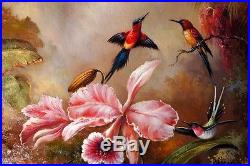 Original Oil on Canvas Impressionism Bird Portrait Oil Painting Stretched