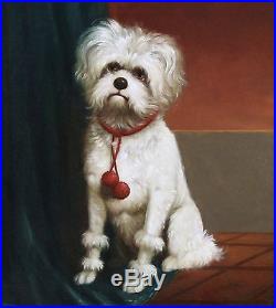 Original antique oil painting on canvas, portrait of a maltezer dog 19th frame