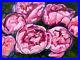 Original-art-oil-painting-Peony-flower-artwork-floral-oil-on-canvas-18x24-01-xa