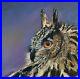 Original-signed-oil-Painting-on-canvas-Owl-Great-Horned-Owl-Art-01-kqp