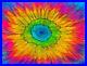 Rainbow-Sunflower-acrylic-paintings-on-11in-x-14in-canvas-handpainted-original-01-qdjw