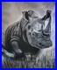 Rhinoceros-Painting-01-to