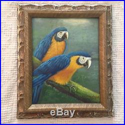 Signed and Framed Original Oil on Canvas Parrot Birds Painting (8 X 10)