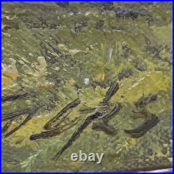 Tok Hwang Original Oil On Canvas Alaskan River Scene Signed & Numbered