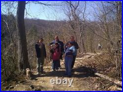 Tropical Paradise II Contemporary Expressionist Original Painting 11x14 Shibumi