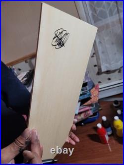 Vibrant Abstract Expressionism Canvas Painting, Bird Alight 2, Basil Arts