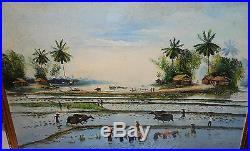 Vietnam Mia Cay Rice Field Original Oil On Canvas Landscape Painting
