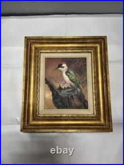 Vintage MCM Woodpecker Oil On Canvas Painting Signed Original