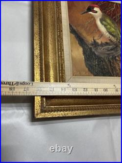 Vintage MCM Woodpecker Oil On Canvas Painting Signed Original