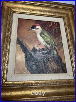Vintage MCM Woodpecker Oil On Canvas Painting Signed Original