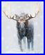 Western-Winter-Moose-Painting-Original-Oil-on-Canvas-Signed-by-Artist-01-fr